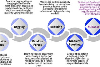 Tree-Based Machine Learning Algorithms Explained