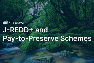 J-REDD+ and Pay-to-Preserve Schemes