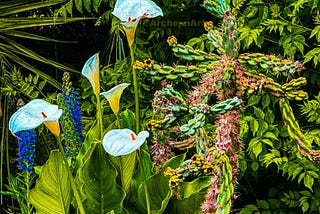 Basque Garden