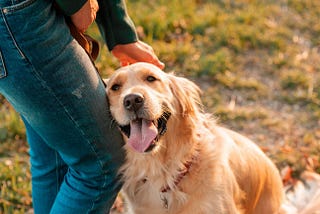 犬から『溺愛される』飼い主の特徴5選　好かれやすい人の共通点や愛されるために意識すべきことまで