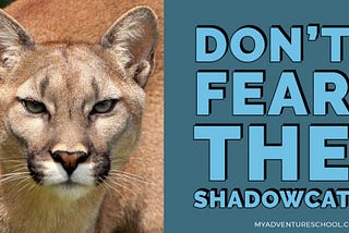 Mountain Lion Attack — How To Not Fear The Shadowcat