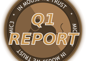 Mousecoin Network Q1 2021 Report