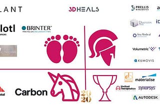 Newborns, Warriors, Unicorns, Winners: Commercialization of Healthcare 3D Printing In 2020