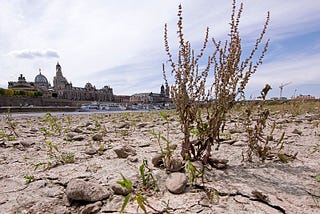 THE FIGHTING CARBON SINKS