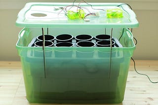 Fogponics 101: Hydroponic Growing With Fog Guide