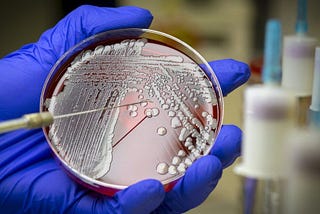 🧬 AI 發現有望對抗超級細菌的抗生素