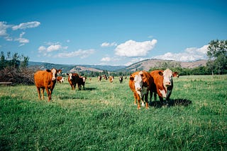 Dirt Under Your Fingernails Investing in Regenerative Agriculture Part 1