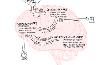 How To Hack Your Brain’s Built-In Processor