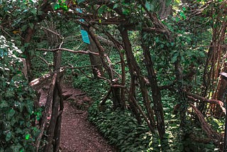 THE ENCHANTMENT OF PUZZLEWOOD FOREST