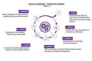 It’s the Journey — An Iterative, Process for Data Cleaning — innotescus