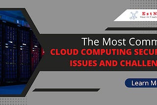 The Most Common Cloud Computing Security Issues and Challenges
