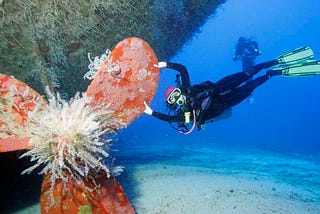 Os gigantes submersos da costa brasileira