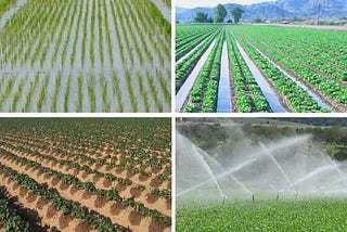 https://www.goodlandgurus.com/methods-of-irrigation/