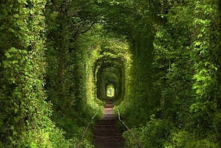 Love Tunnel, Kleven — Ukraine.