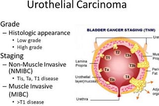 How Cancer Changed My Life