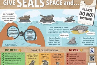DIY SEAL WARGAMES