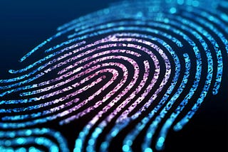 Data Fingerprinting in JavaScript