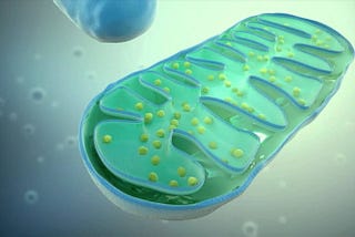 Solving Aging Series: Allotopic Gene Expression