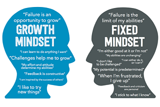 Developing a Growth MIndset: