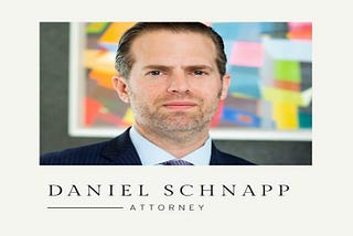 Daniel Schnapp, an Attorney and Litigator Who Handles Art Cases, Urges Collectors to Protect Their…