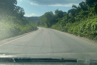 Small Things I Hope I Never Forget