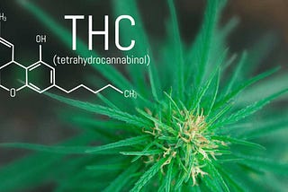 What is THC? Marijuana Business