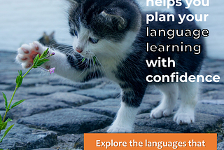 Exploring languages, one of the best ways to test the waters before committing to learning a…