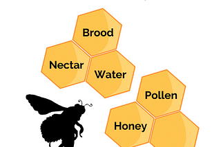 What To Do When Your Bees Are Making Too Much Honey