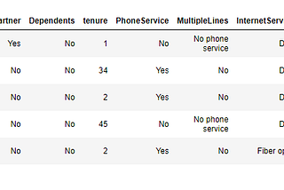 Analyzing Customer Churn Data with Python