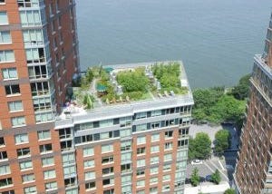 Shall You Buy A Unit At The Solaire | 20 River Terrace — Battery Park, Manhattan