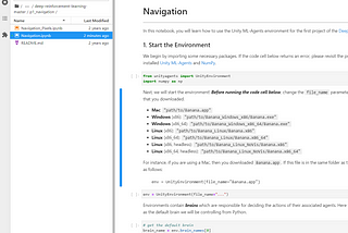 Simple guide on start your Udacity DRL project (Local Environment)