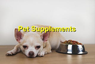 The Role of Pet Supplements in Your Animal's Health