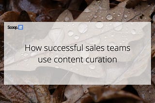 How Successful Sales Teams Use Content Curation