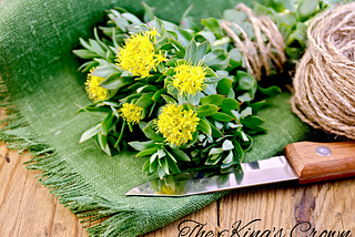 Rhodiola Rosea: The Ultimate Guide to This Adaptogenic Herb