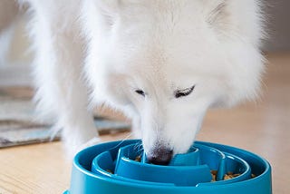 Outward Hound Fun Feeder