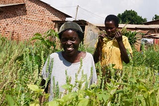 Thinking Outside the Box — the Incredible Journey of Eco-Agric Uganda