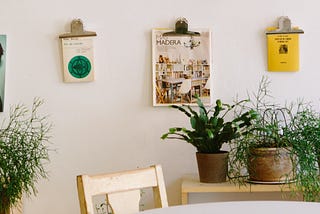 Wall with magazine prints and plants