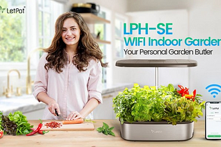 Best Indoor Hydroponic System: Forget Pests and Limited Space: — Gardenfrontier