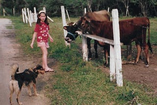 Retalhos de memória: a melhor vaca do mundo.