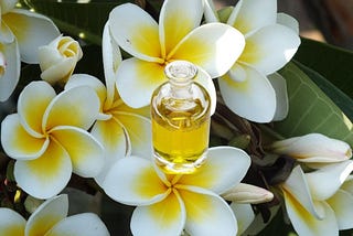 Jasmine Oil Benefits for Skin and Beauty