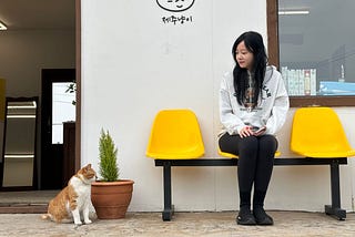 濟州島自駕2024文青小景點三選：孝利家民宿、牧場裡的藍瓶咖啡、吉宙貓貓咪咖啡店