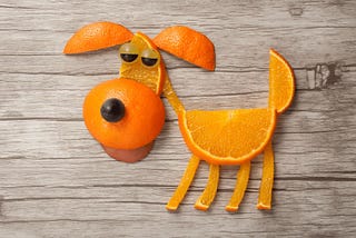 The Truth About Can Dogs Eat Oranges | DogExpress