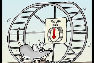Rat spin wheel and mindfulness