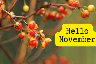 17 Things To Post on Social Media in November