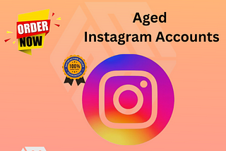 Buy Aged Instagram Accounts