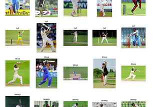 Classifying Cricket Shot using Pose of the Player Image