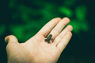Comprimiendo imágenes con LARAVEL