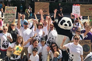 How WWF-Canada fought for nature and people in 2019