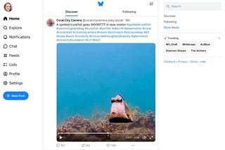 Is X (Twitter) Still Banned in Brazil in 2025? Here’s the Truth