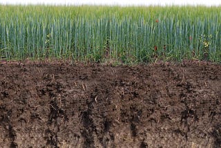 Topsoil Loss Problems